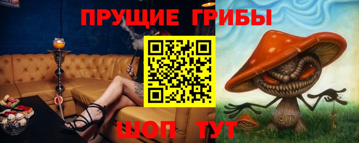 где можно купить наркотик  Вход с VPN  Казань  Галлюциногенные грибы MAGIC MUSHROOMS 